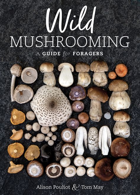 Nature's Alchemists: Unleashing the Magic of Mushrooms in 'The Magic of Mushrooms' Book
